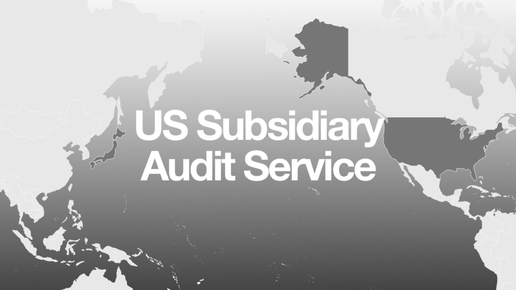 us subsidiary audit